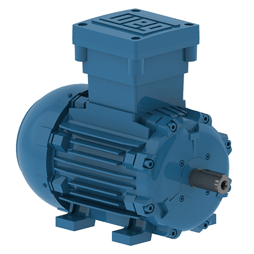 萬高W21-隔爆電機(jī)-ExdII BT4