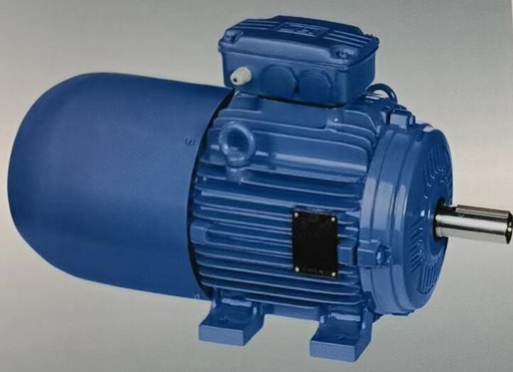 W21 制動(dòng)電機(jī)